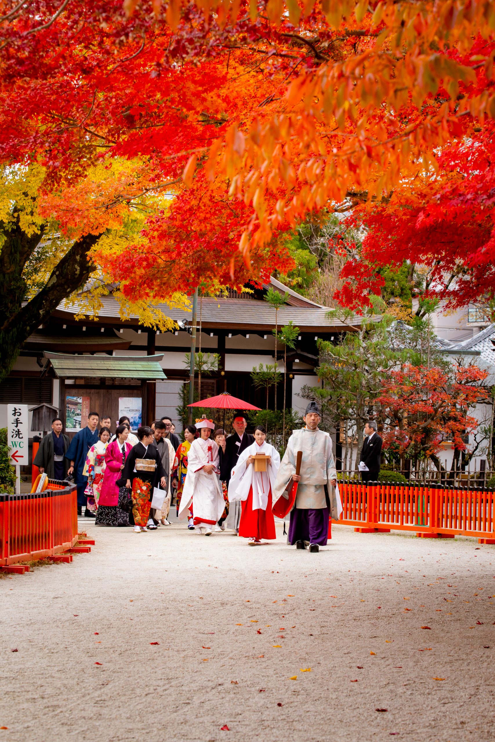 Japan Destination Wedding Photography, Pre-wedding, Engagement, Marriage Proposal, Elopement wedding Photographer KAZ TSURUDOME